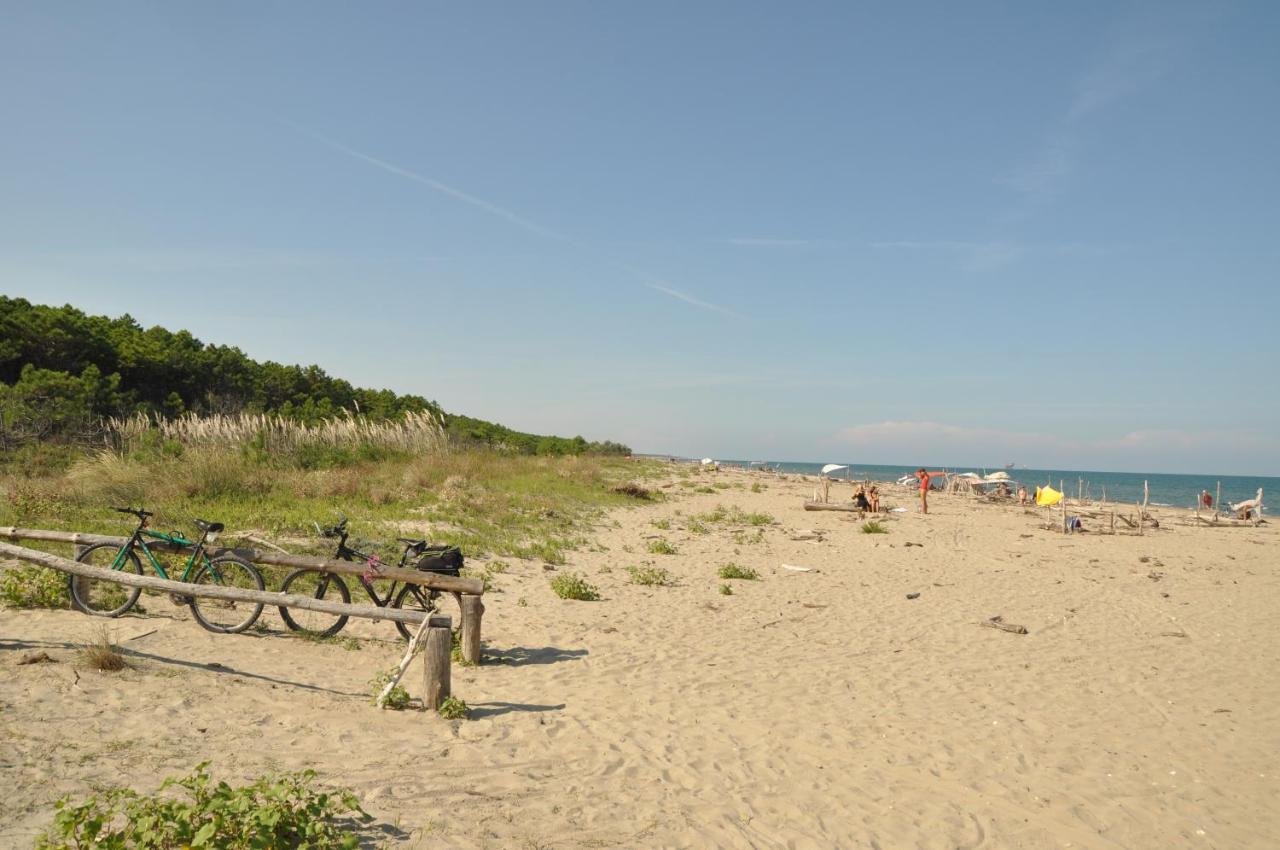 Bed and Breakfast Ca' Barbona Lido di Classe Exterior foto