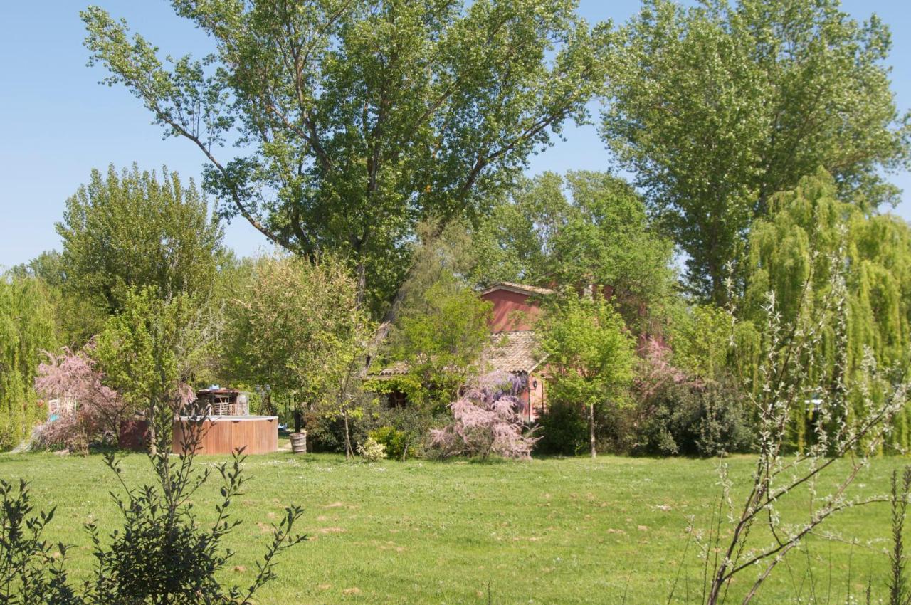 Bed and Breakfast Ca' Barbona Lido di Classe Exterior foto