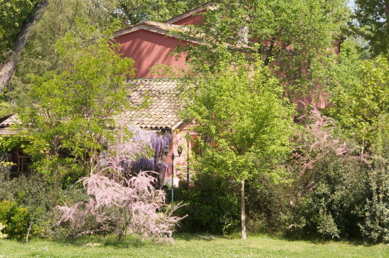 Bed and Breakfast Ca' Barbona Lido di Classe Exterior foto